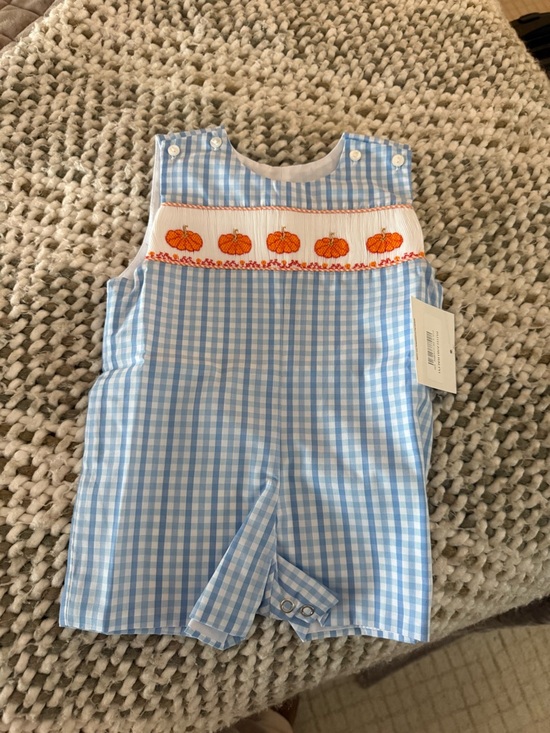 Ruth And Ralph Other - Blue Gingham Pumpkin Smocked Kids One-Piece